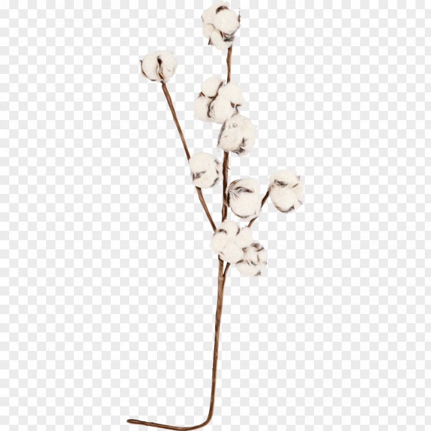 Jewellery Blossom Branch Flower Plant Moth Orchid Twig PNG