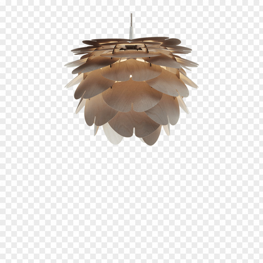 Lamp Pendant Light Charms & Pendants Lighting Chandelier PNG