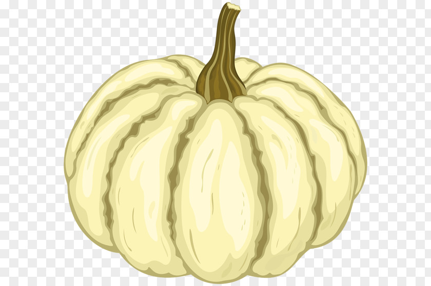 Pumpkin Gourd Clip Art Image PNG