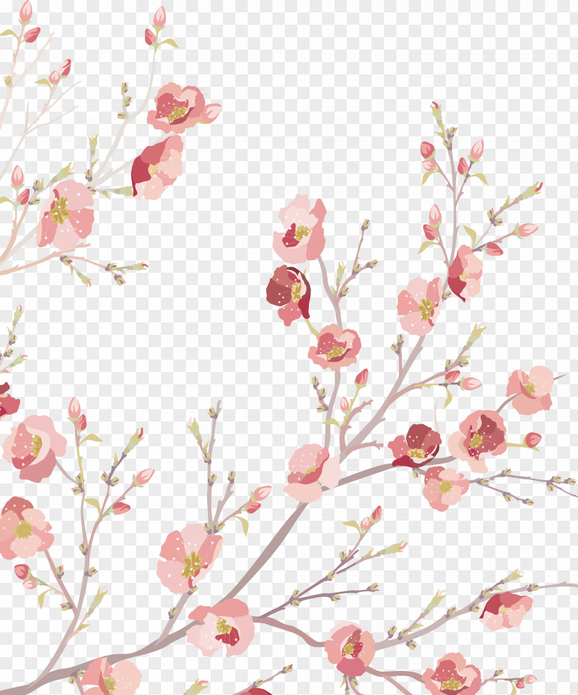 Floral Decoration Watercolor Painting Flower PNG