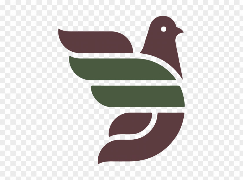 Fly Pigeons Logo Domestic Pigeon Graphic Design Corporate Identity PNG