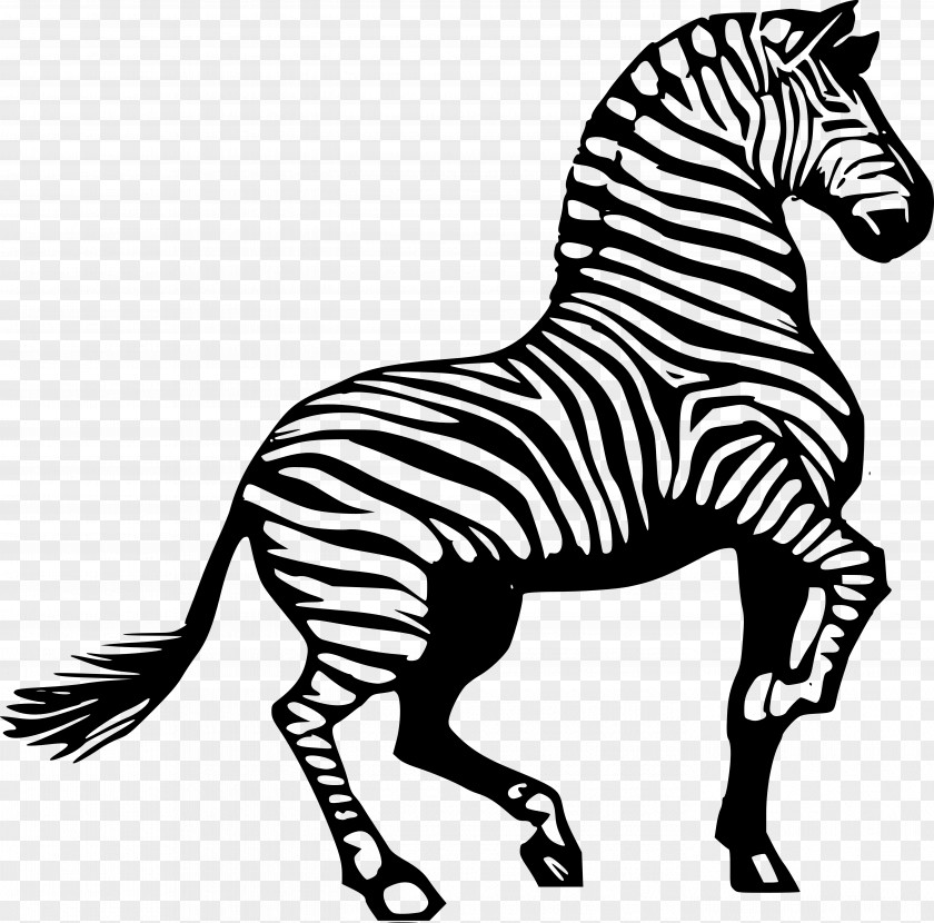 Animal Print Horse Zebra Drawing Clip Art PNG