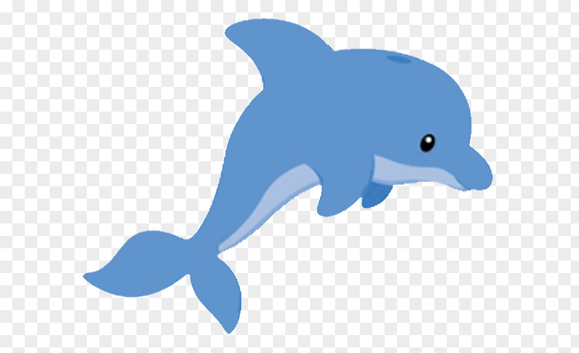 Baby Dolphin Cliparts Drawing Clip Art PNG