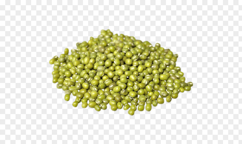 Bean Mung Organic Food Chinese Cuisine Dal Sprouting PNG