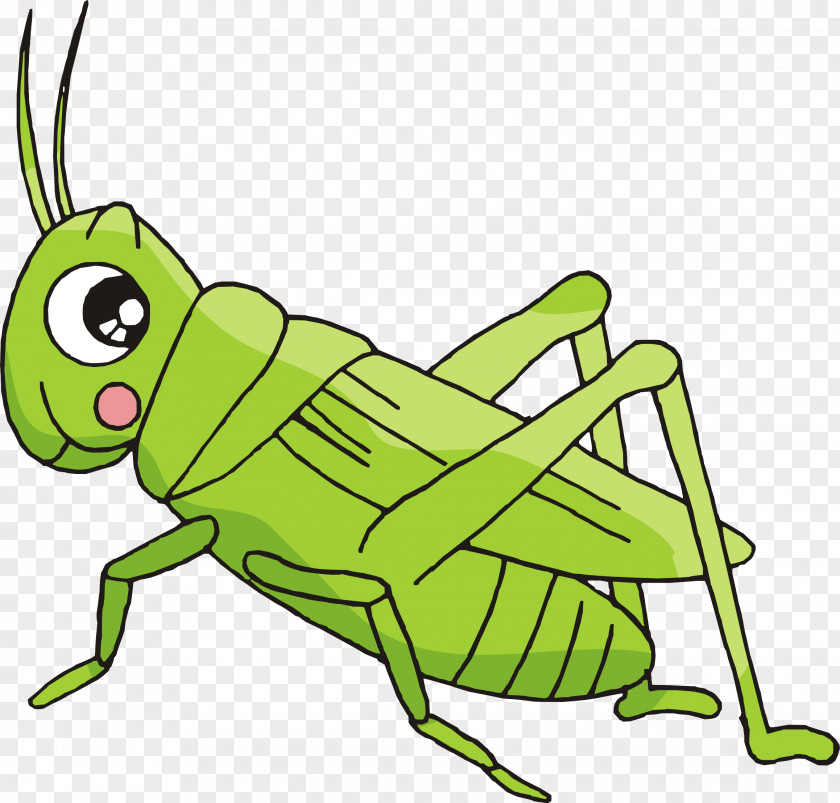 Creative Hand-painted Grasshopper Cartoon Bush Crickets Insect PNG