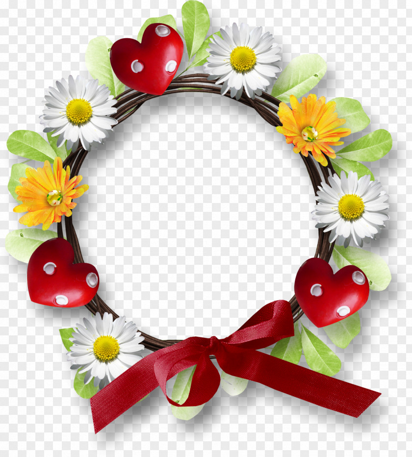 Papatya Image Photography Picture Frames Ornament PNG