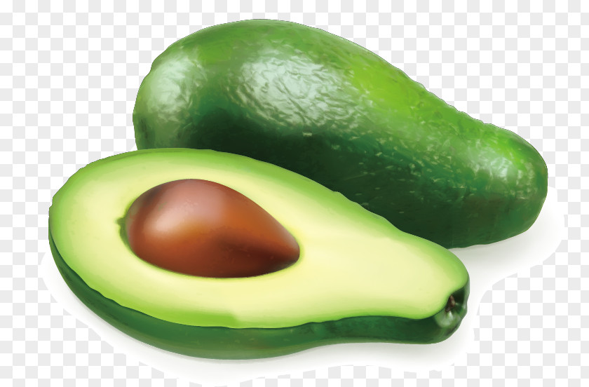 Vector Avocado Auglis Illustration PNG