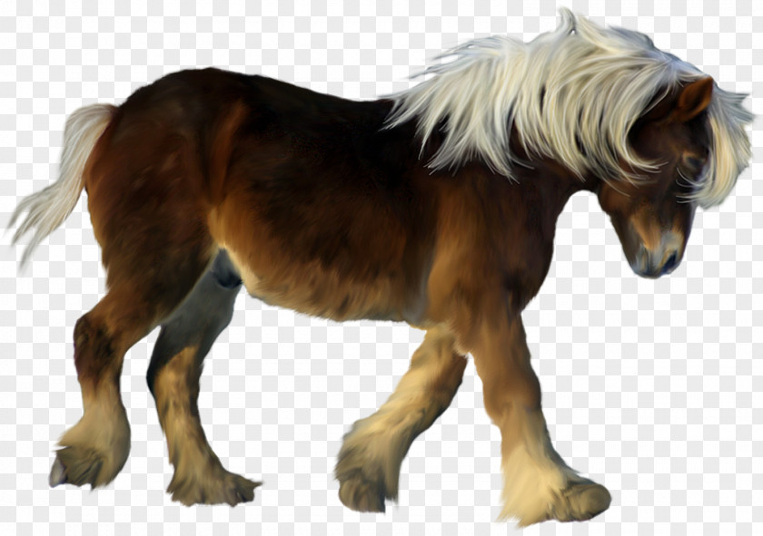 Brown Pony 3D Clipart American Miniature Horse My Little Icon PNG
