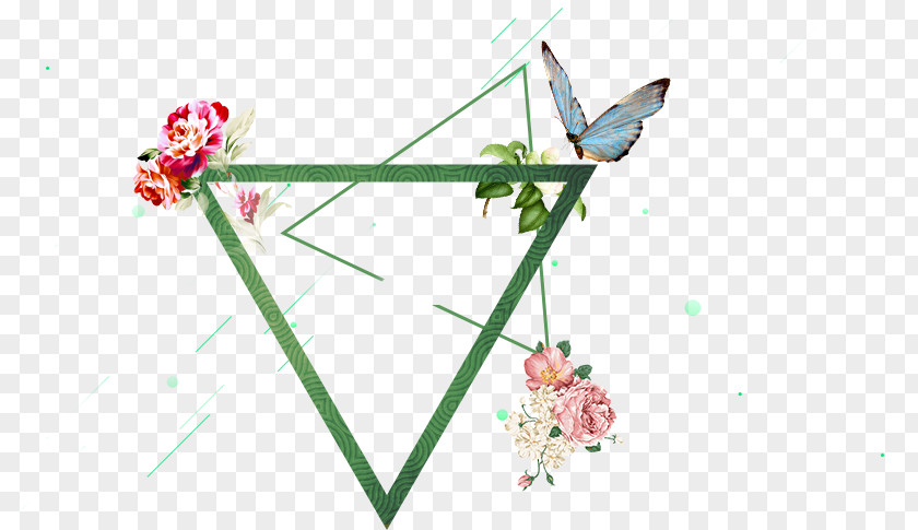Butterfly Frame Material Illustration PNG