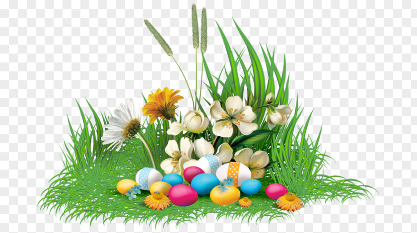 Easter Bunny Floral Design Egg Birman PNG