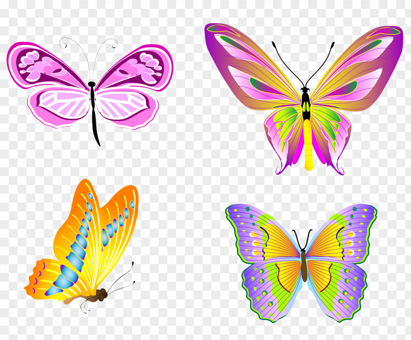 Transparent Butterflies Set Clipart Butterfly Clip Art PNG