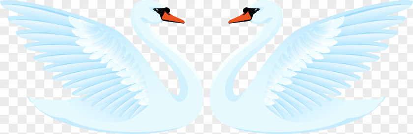 Vector One Pair Of Light Blue Swan Wing Bird Duck Goose Cygnini PNG