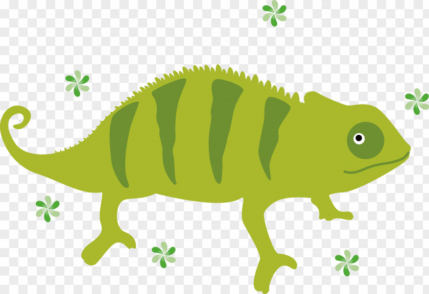 Chameleon PNG