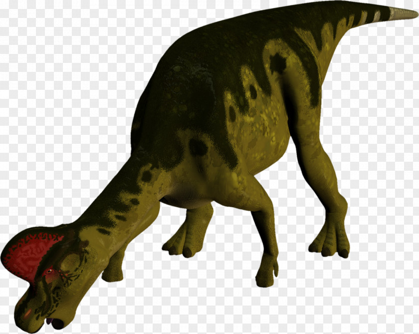 Dinosaur Tyrannosaurus Fauna Terrestrial Animal Extinction PNG
