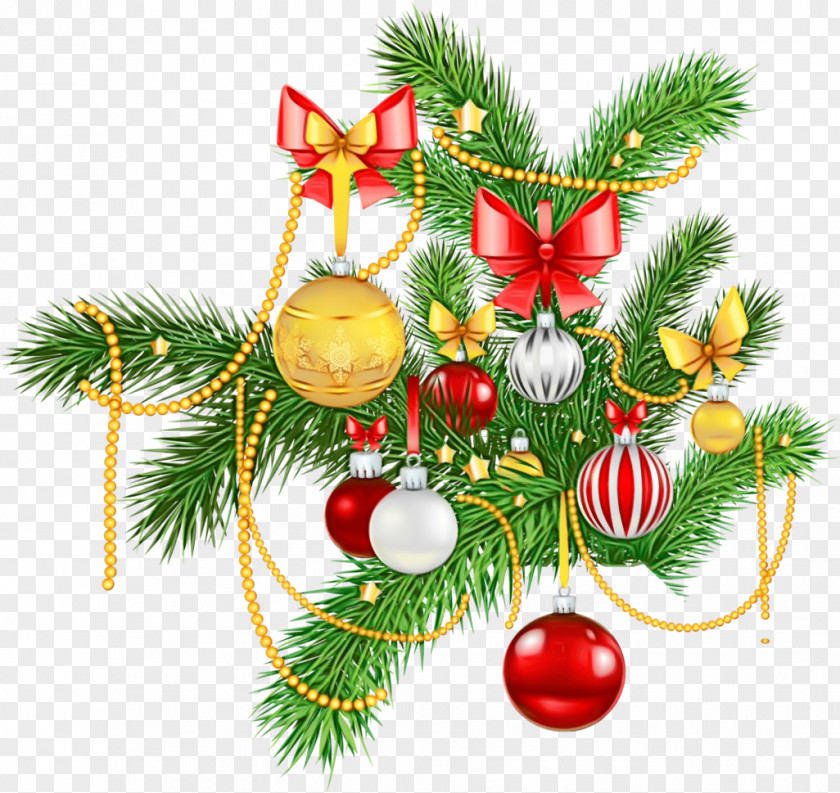 Holiday Ornament Fir Christmas PNG