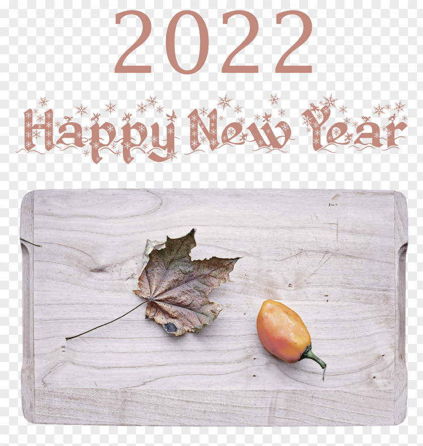 2022 Happy New Year PNG