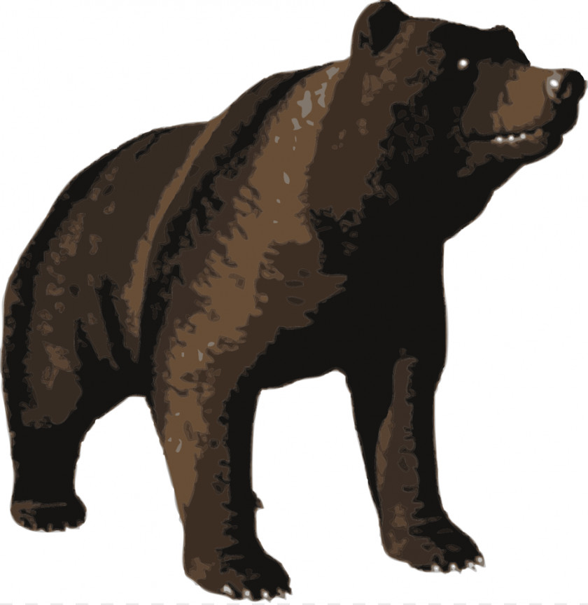 Bear Polar Brown Giant Panda Clip Art PNG