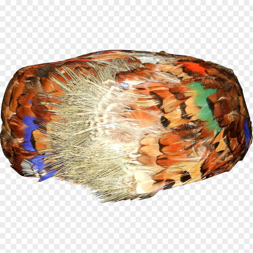 Feather Headgear PNG