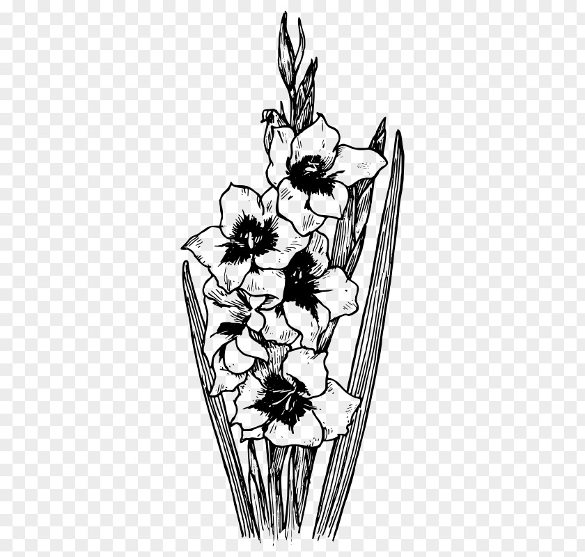 Gladiolus Flower Drawing Tattoo Clip Art PNG