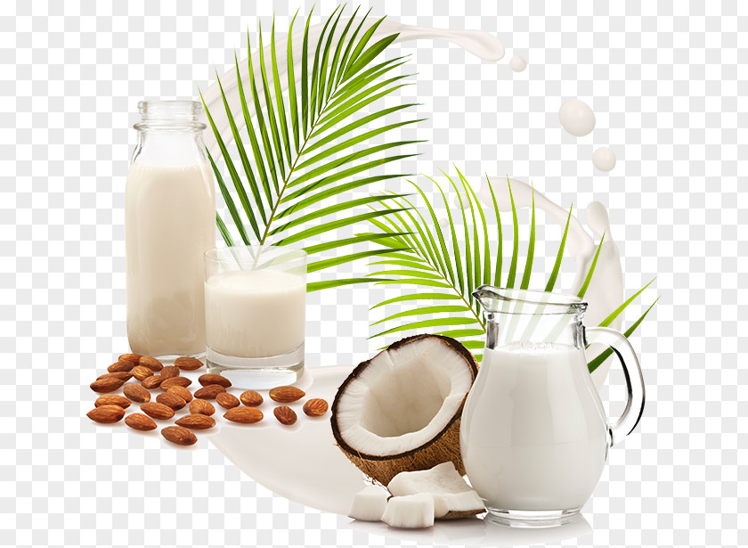 Milk Coconut Almond Water Plant PNG