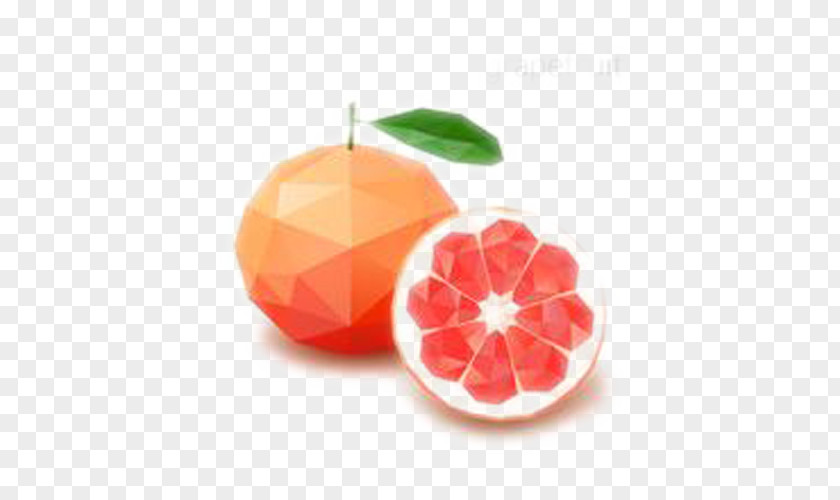 Pomegranate Orange Vector Fruit Geometry PNG
