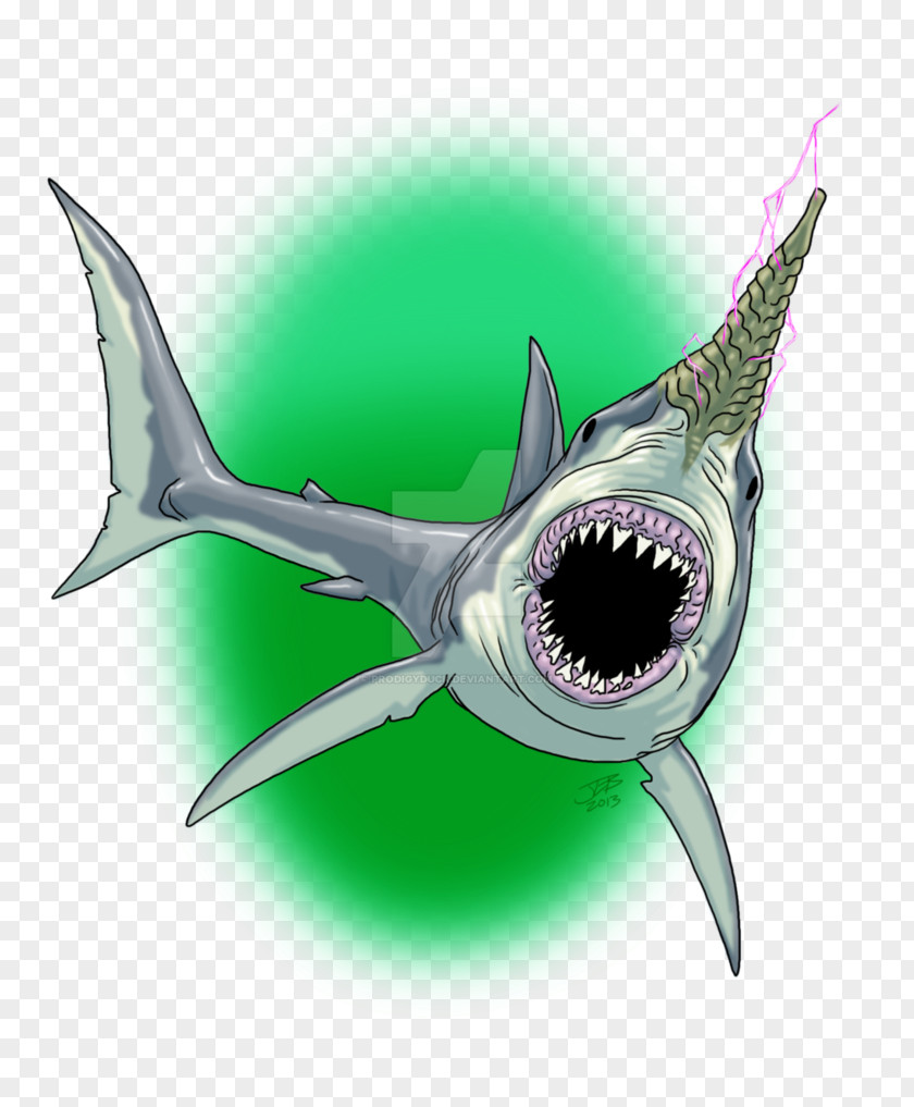 Requiem Shark Blacktip Reef Carcharhinus Amblyrhynchos Whitetip Oceanic PNG