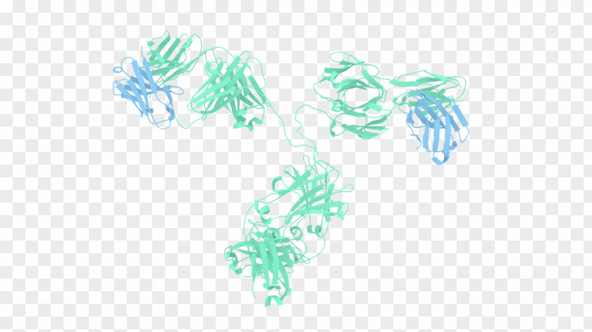Teal Antibody-drug Conjugate Structure Ribbon Diagram Single-domain Antibody PNG