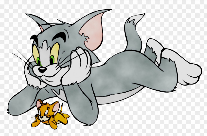 Tom Cat Jerry Mouse Nibbles And Cartoon PNG