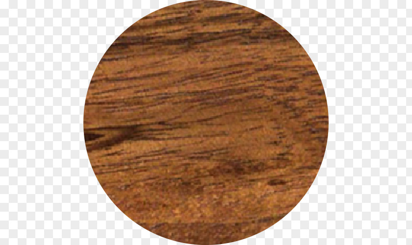 Wood Circle Lysiloma Latisiliquum Tzalam Hardwood Stinkingtoe PNG