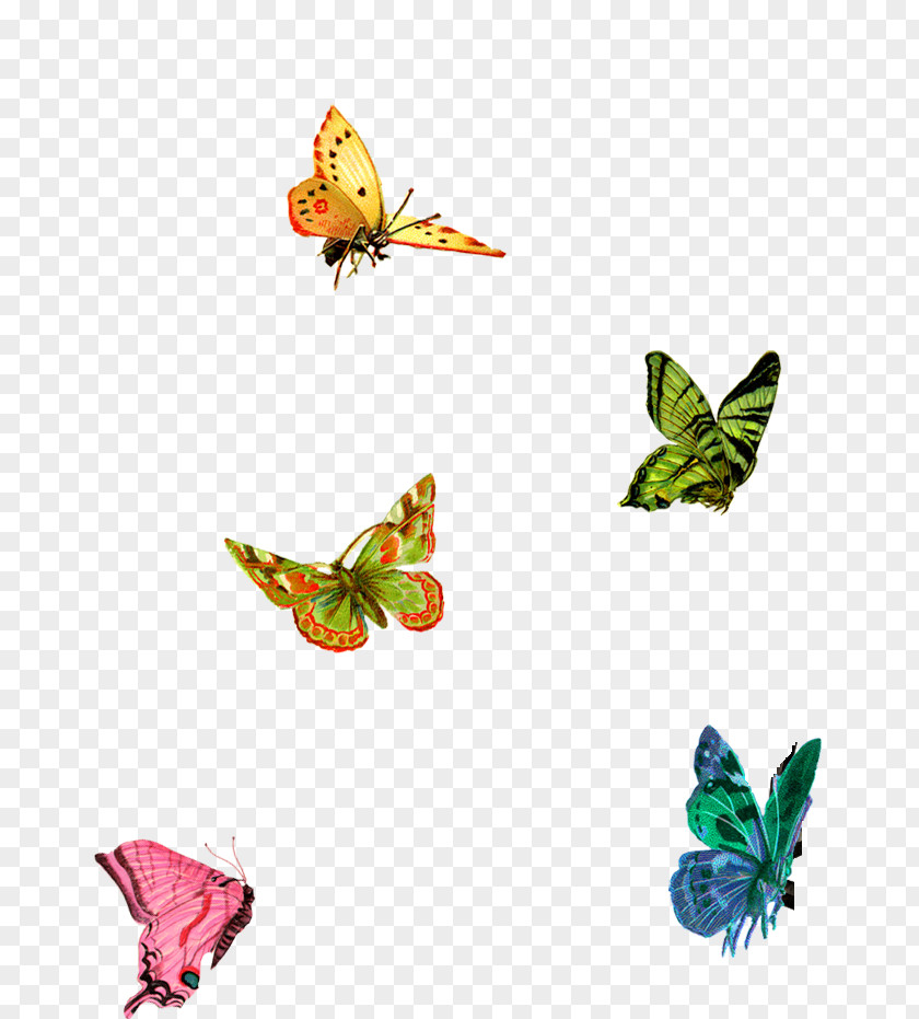 123 Stitchery Butterfly Clip Art PNG