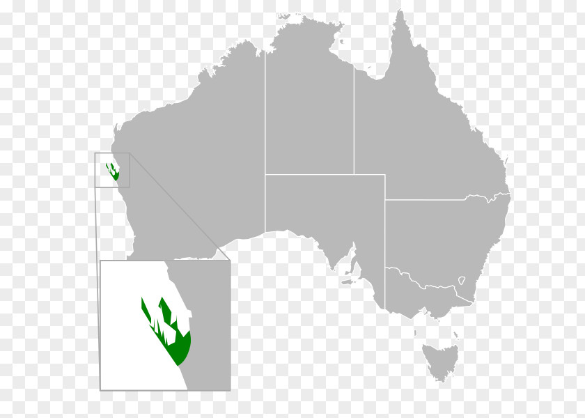 Australia Vector Graphics Stock Photography Royalty-free Map PNG