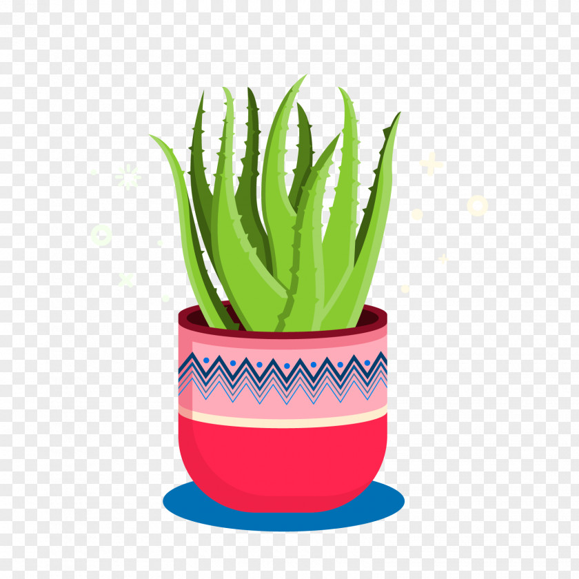 Vector Aloe Vera Download PNG