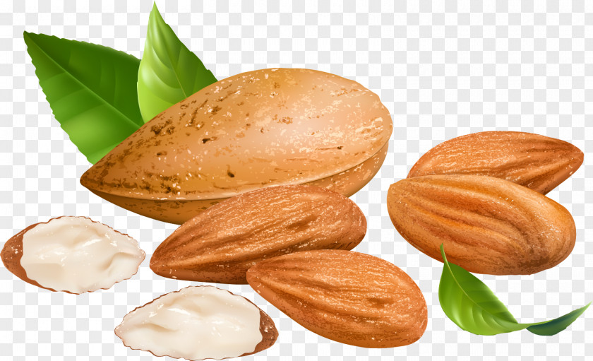 Almond Blossoms Nut PNG