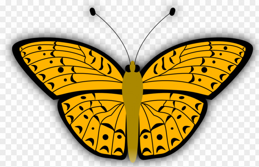 Butterfly Monarch Insect Clip Art Vector Graphics PNG