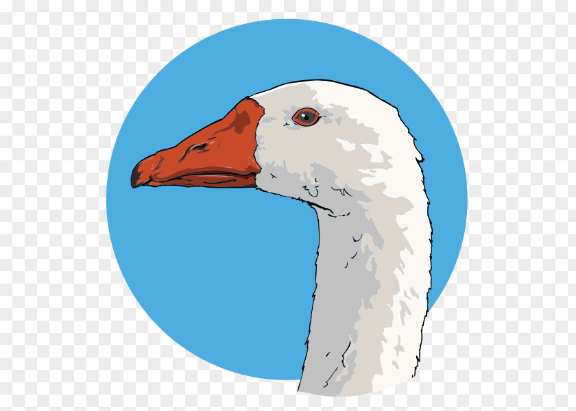 Goose Clip Art PNG