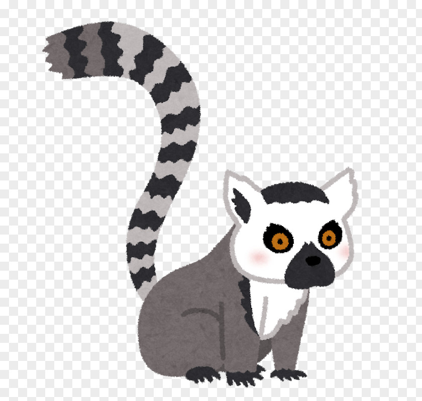 T-shirt Ring-tailed Lemur Itōzunomori Kōen Lemuridae Adidas PNG