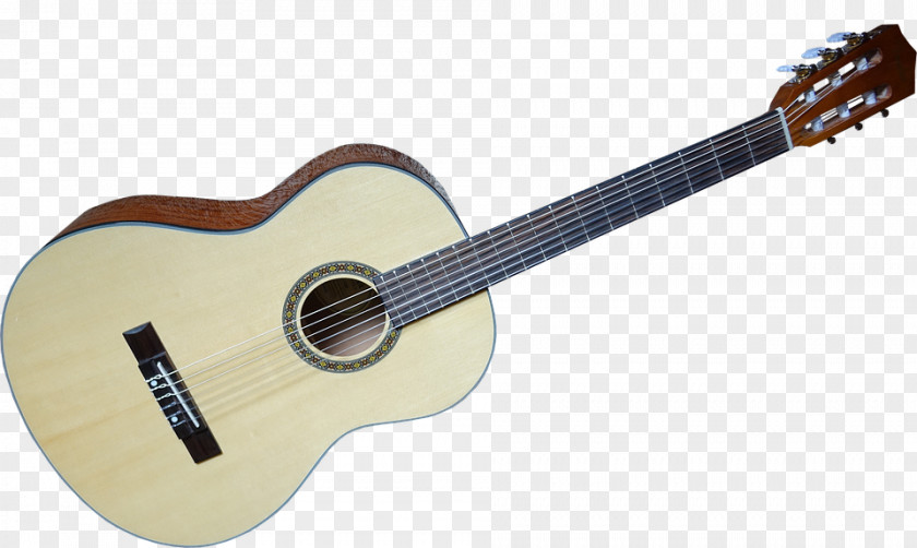 Acoustic Guitar Resonator Musical Instruments PNG