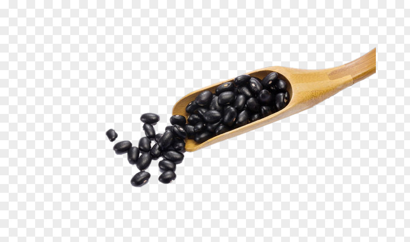 Bamboo With Black Beans Turtle Bean Food PNG