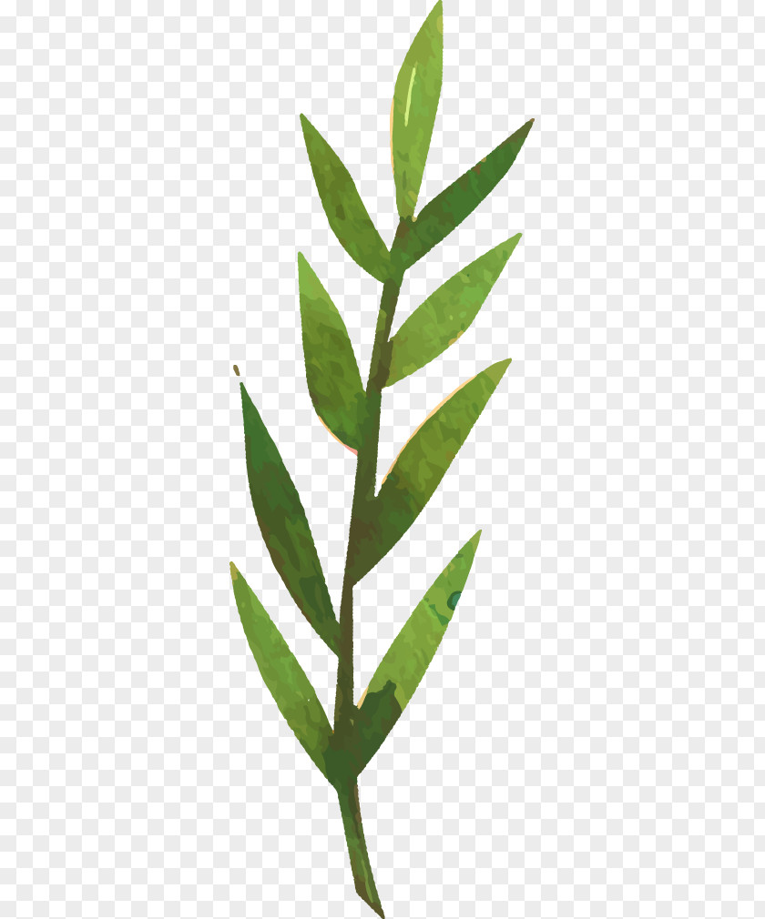 Decorative Grass Graphic Design PNG