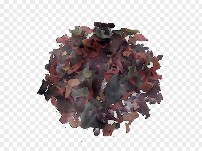 Hibiscus Tea Green Black Rosemallows PNG