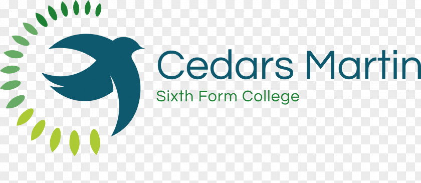 Cedar The Cedars Academy Beauchamp College Sixth Form National Secondary School PNG