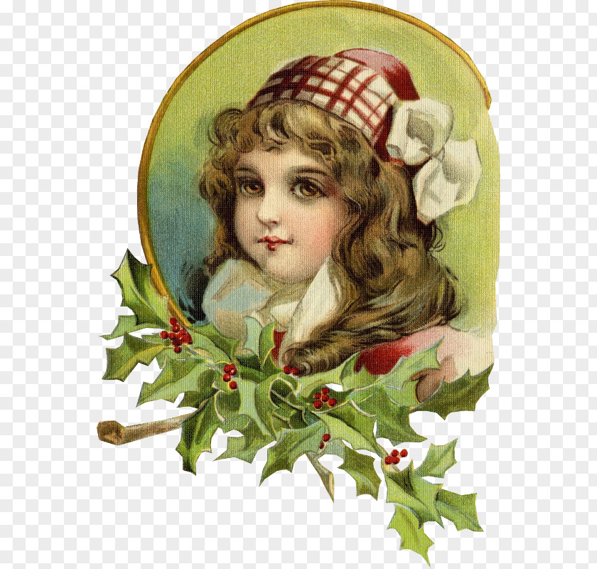 Christmas Holly Ornament Aquifoliales Victorian Era PNG