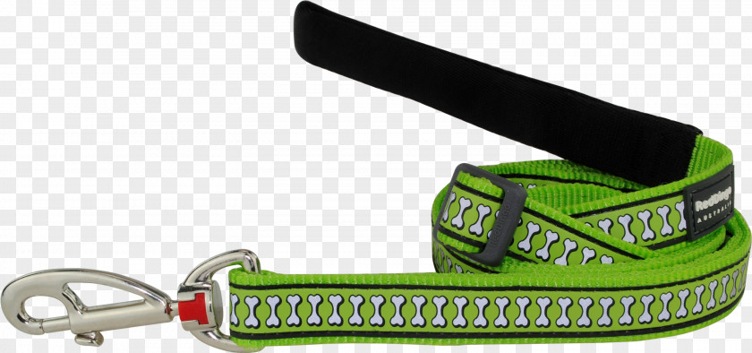 Citron Vert Leash Dog Collar Dingo PNG