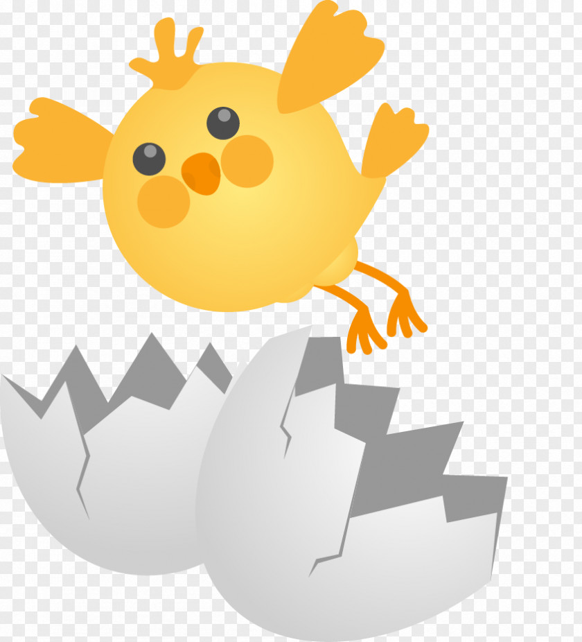 Cute Cartoon Chick Egg Shell Eggs Broken Rotisserie Chicken Fried Clip Art PNG
