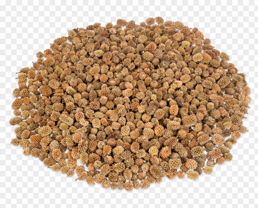 Flour Wheat Berry Food Bean Cereal Lentil PNG