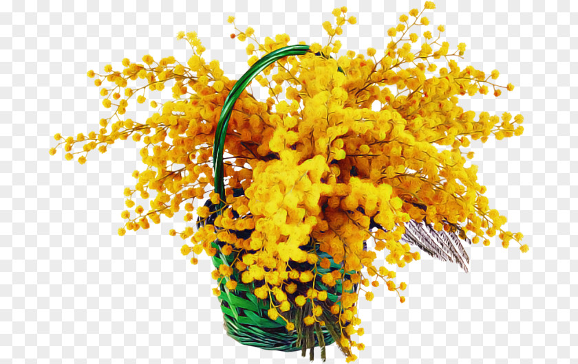 Mimosa PNG