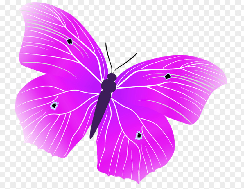 Monarch Butterfly .ru LiveInternet Butterflies And Moths Russia PNG
