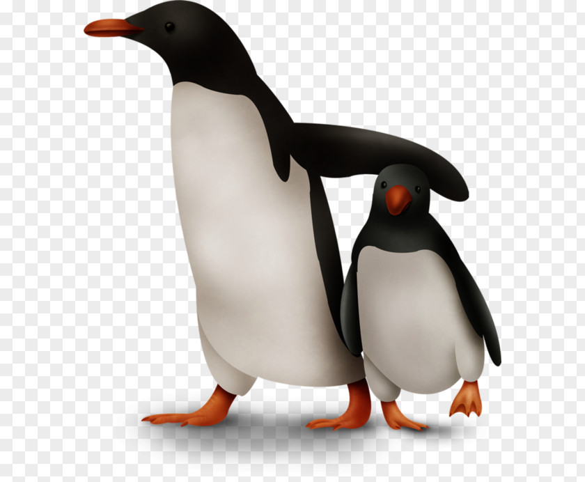 Penguin King Adobe Photoshop Alca PNG