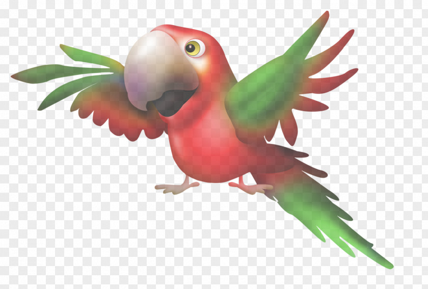 Plant Macaw Lovebird PNG