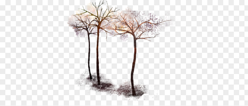 Twig Image File Formats Tree PNG